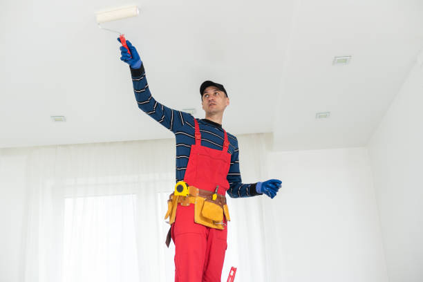 Best Drywall Removal and Disposal  in Grandview, OK